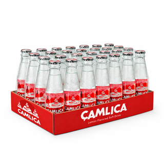 ULUDAG GAZOZ (0,25*24)