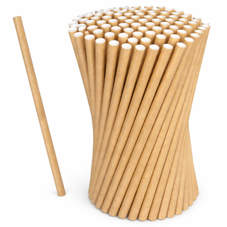 PAILLE CARTON 100 PCS